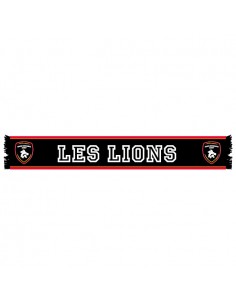 Écharpe Supporter Les Lions