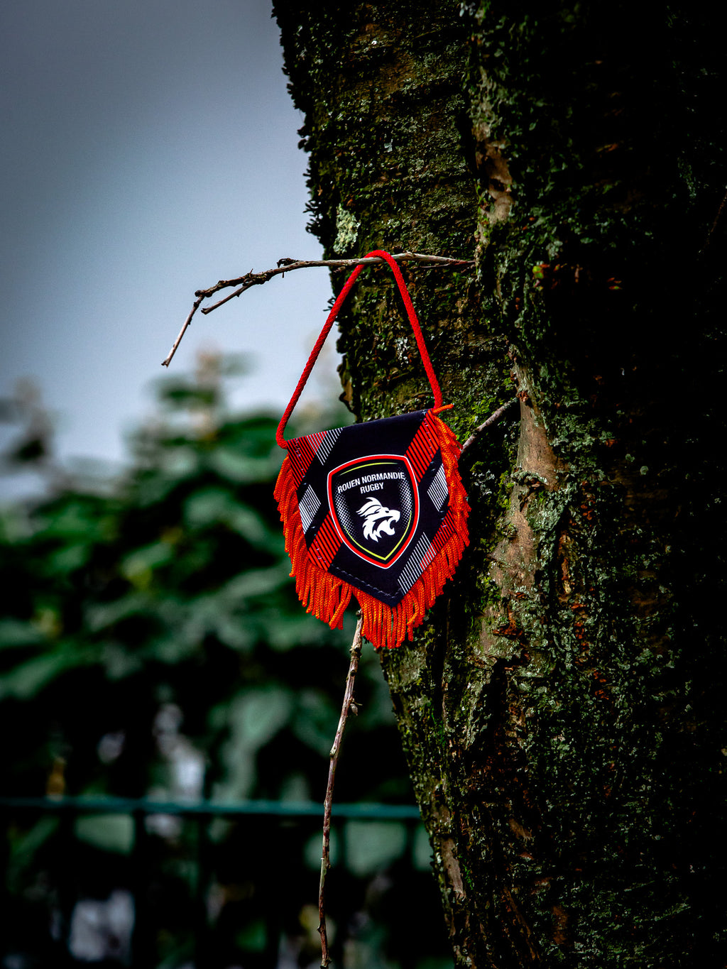 Fanion Logo - Rouen Normandie Rugby