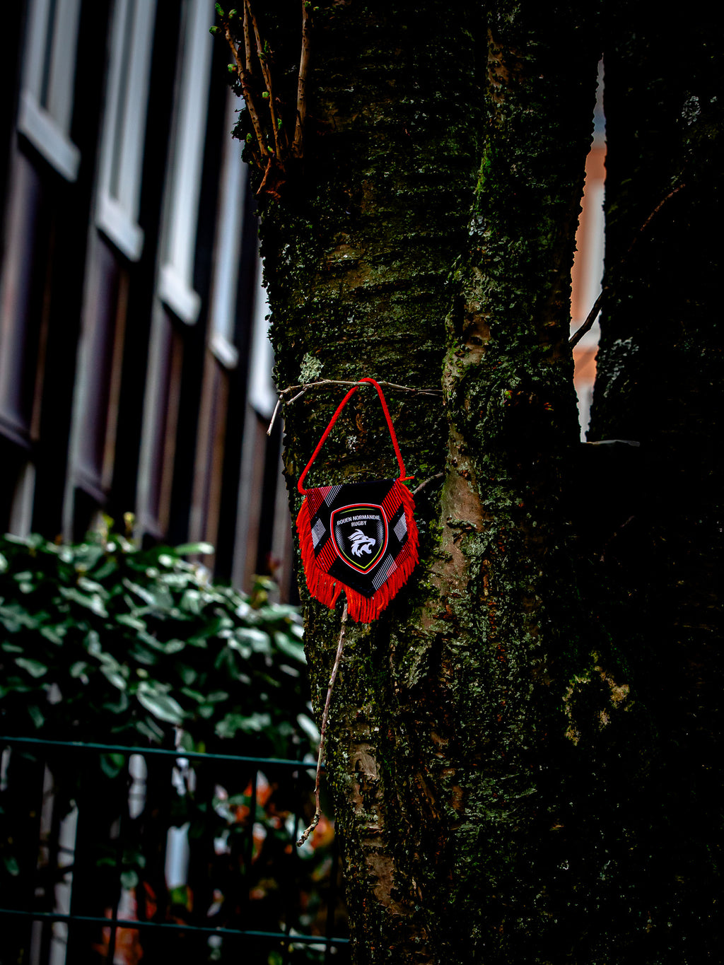 Fanion Logo - Rouen Normandie Rugby