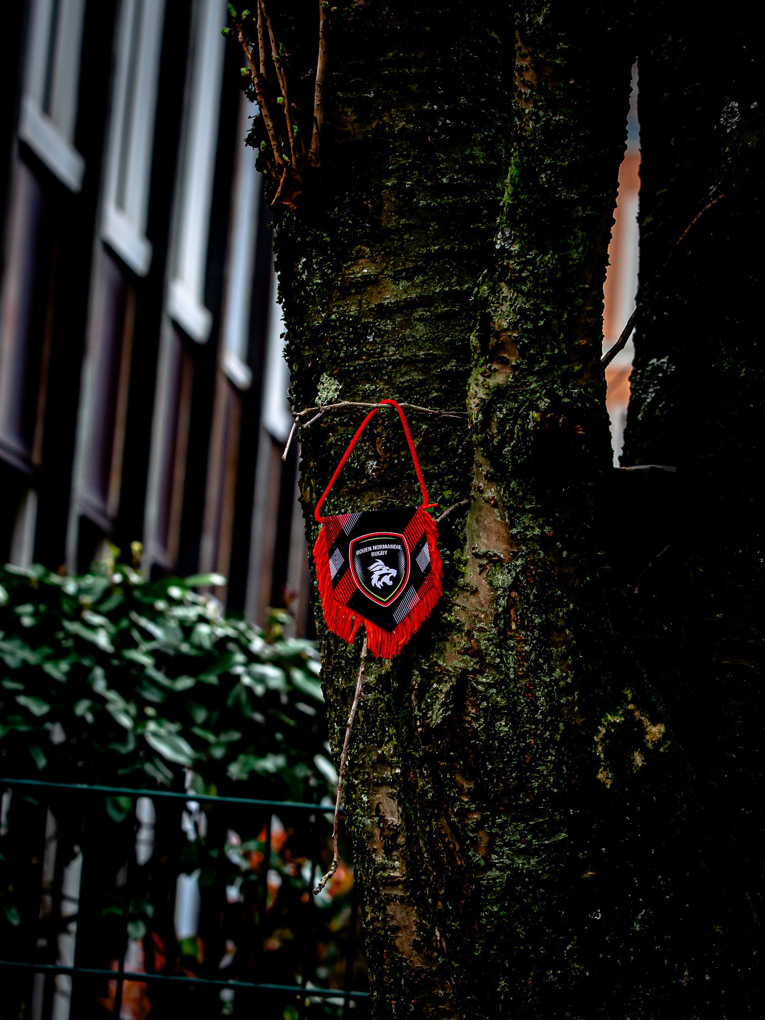 Fanion Logo - Rouen Normandie Rugby