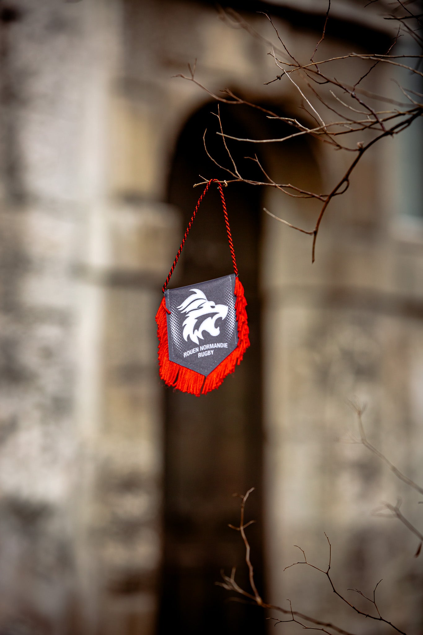 Fanion Lion - Rouen Normandie Rugby