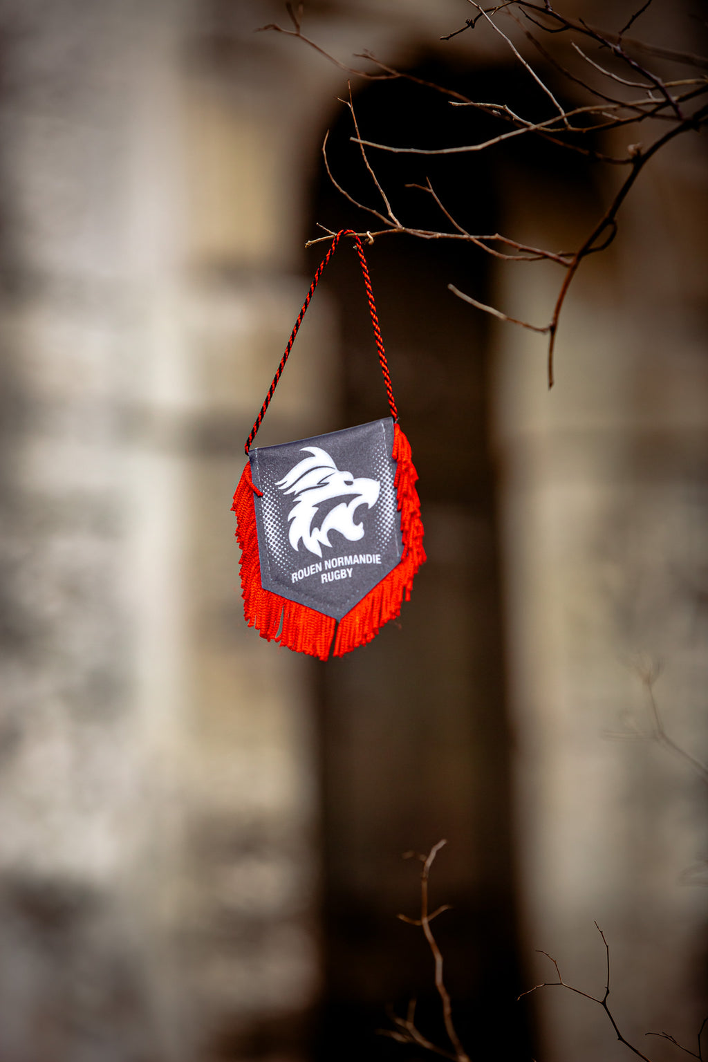 Fanion Lion - Rouen Normandie Rugby